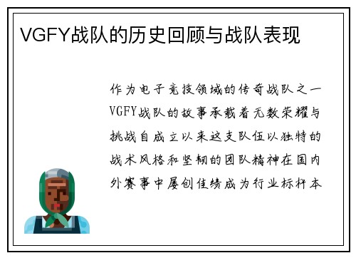 VGFY战队的历史回顾与战队表现